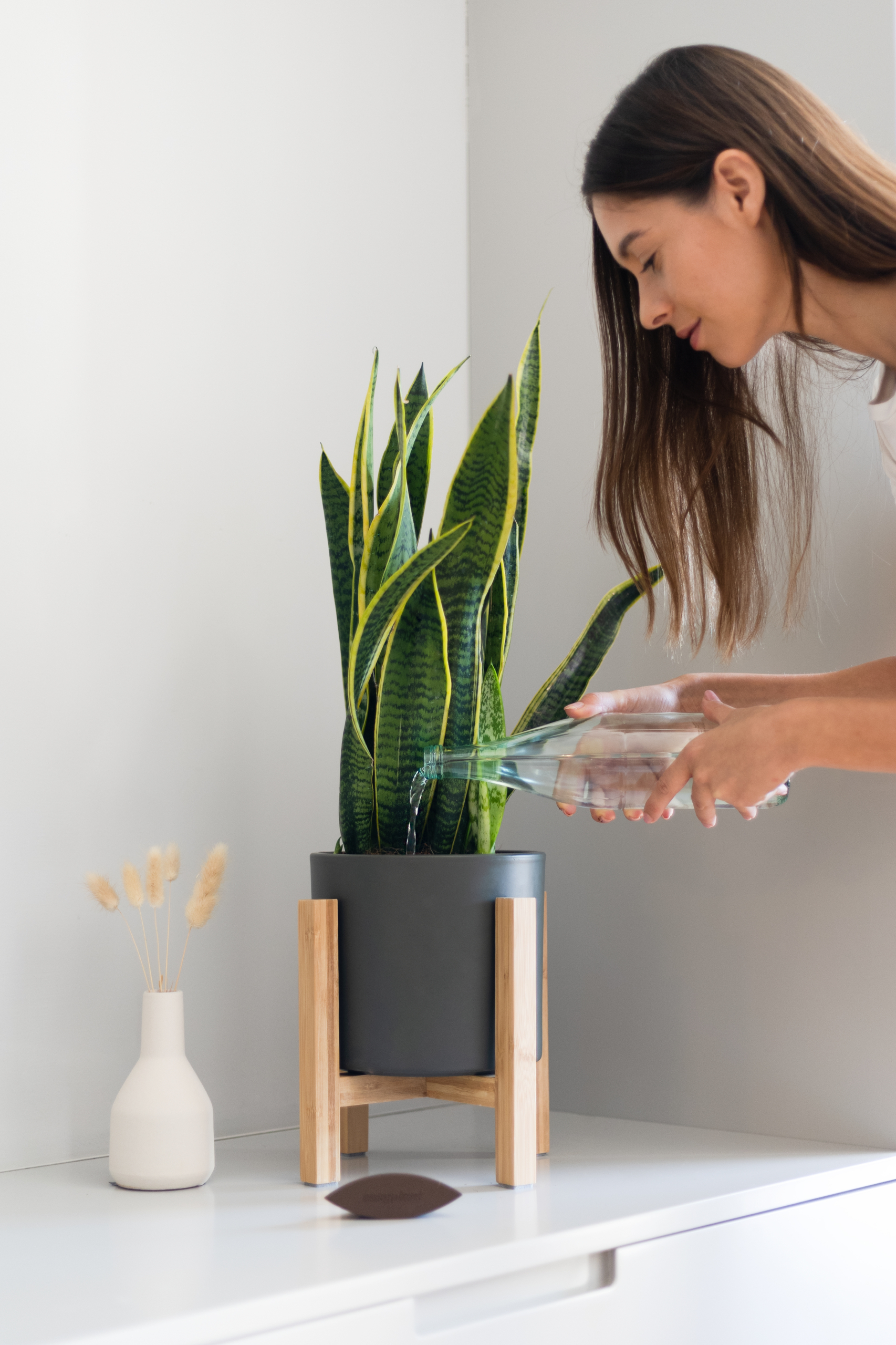 easyplant