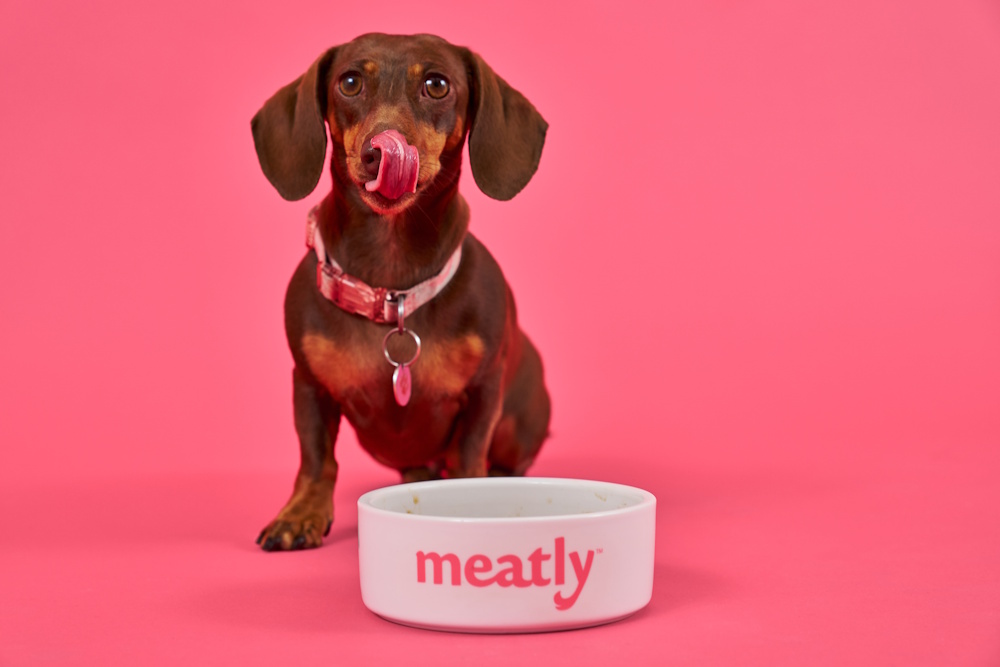 British biotech pioneer Meatly appoints Diffusion